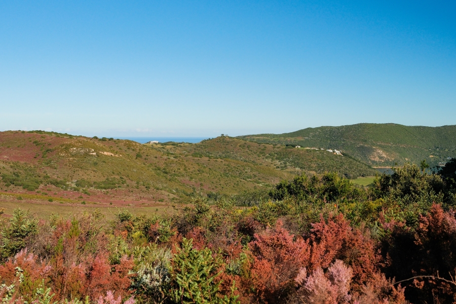 0 Bedroom Property for Sale in Fernwood Estate Western Cape